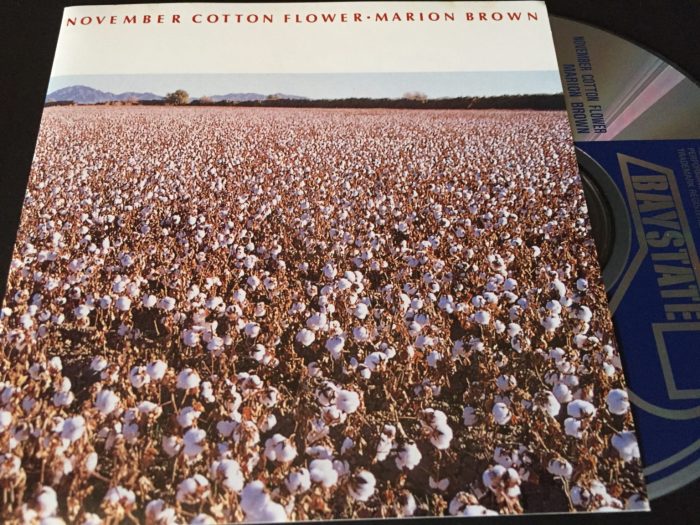 November cotton flower ap lit answers