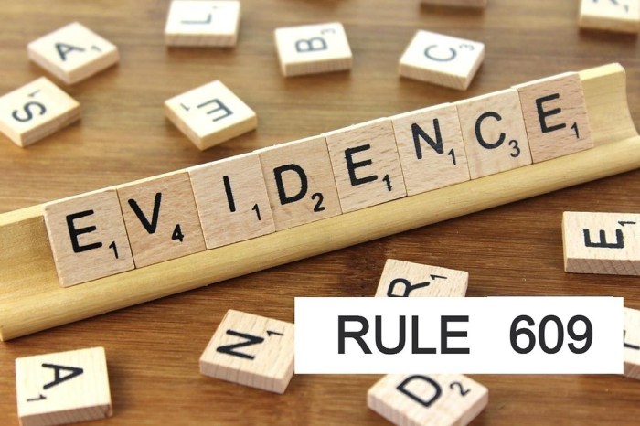 Texas rules of evidence 902