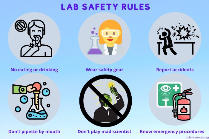 Lab safety rules biology microscope using follow