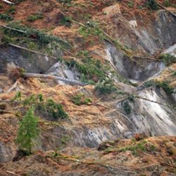 A mudslide flowing down a steep hill