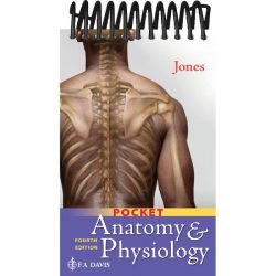 Mcgraw hill anatomy and physiology 4th edition