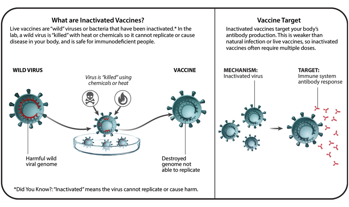 Immunological vaccinations works lymphatic sars cov rna uptake risks