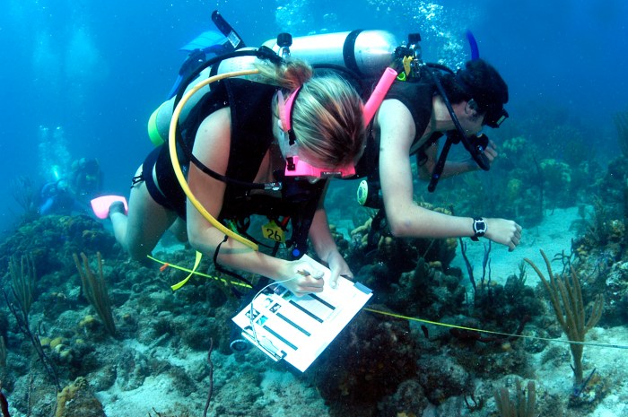 Marine biologists do specialty exist careers campus academics research community