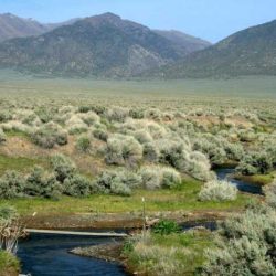 Nevada land for sale with water and mineral rights