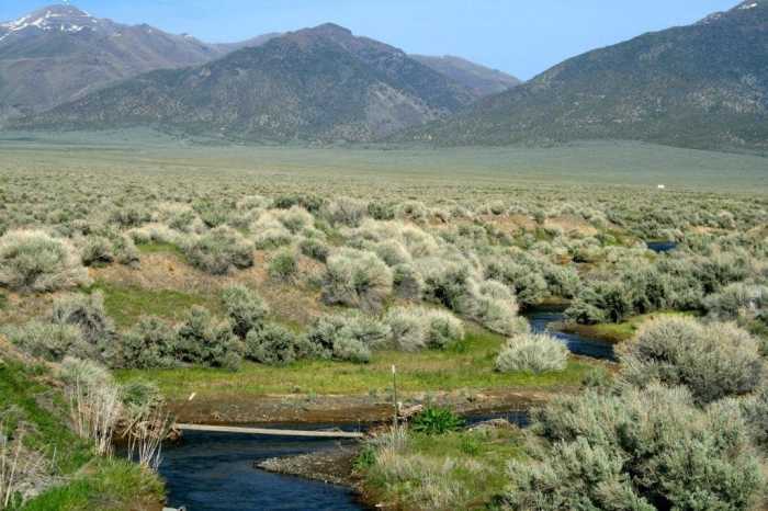 Nevada land for sale with water and mineral rights