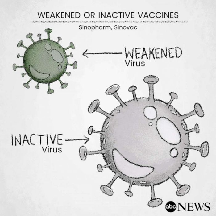 Mrna vaccines rna biontech insights insight