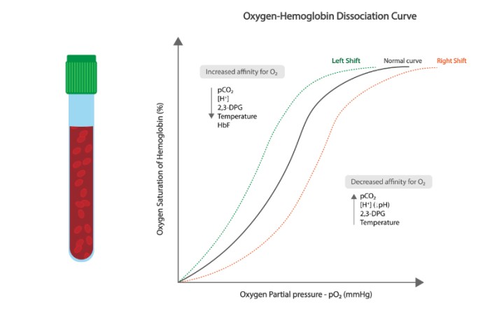 Injections loms responses oxygenation hemodynamic hypoxic